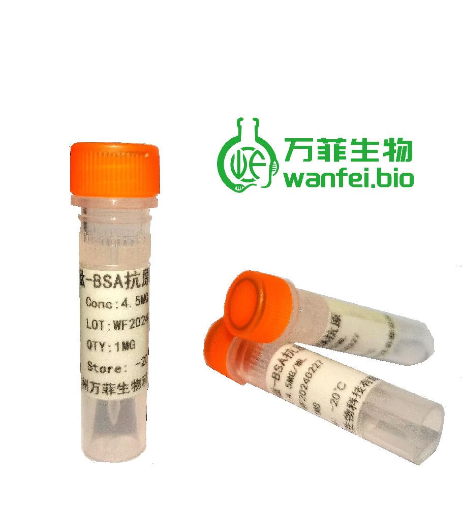 头孢氨苄偶联抗原